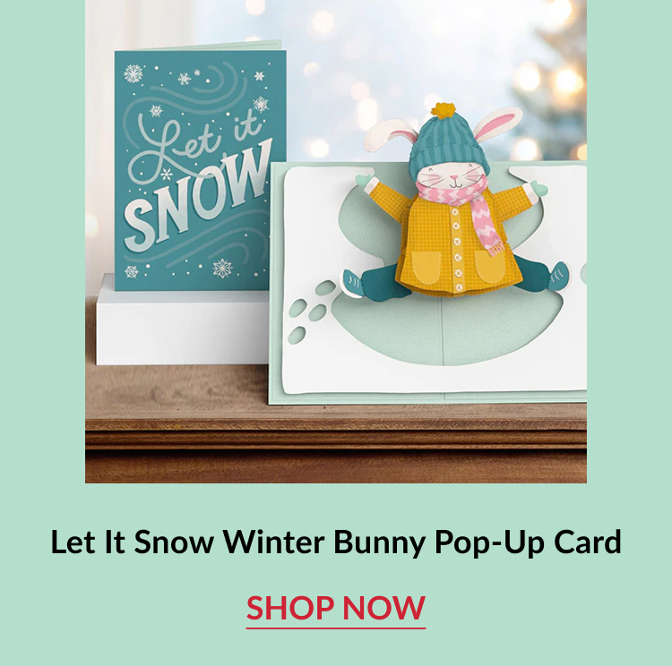 Let It Snow Winter Bunny Pop Up Card with winter bunny scene and shop now