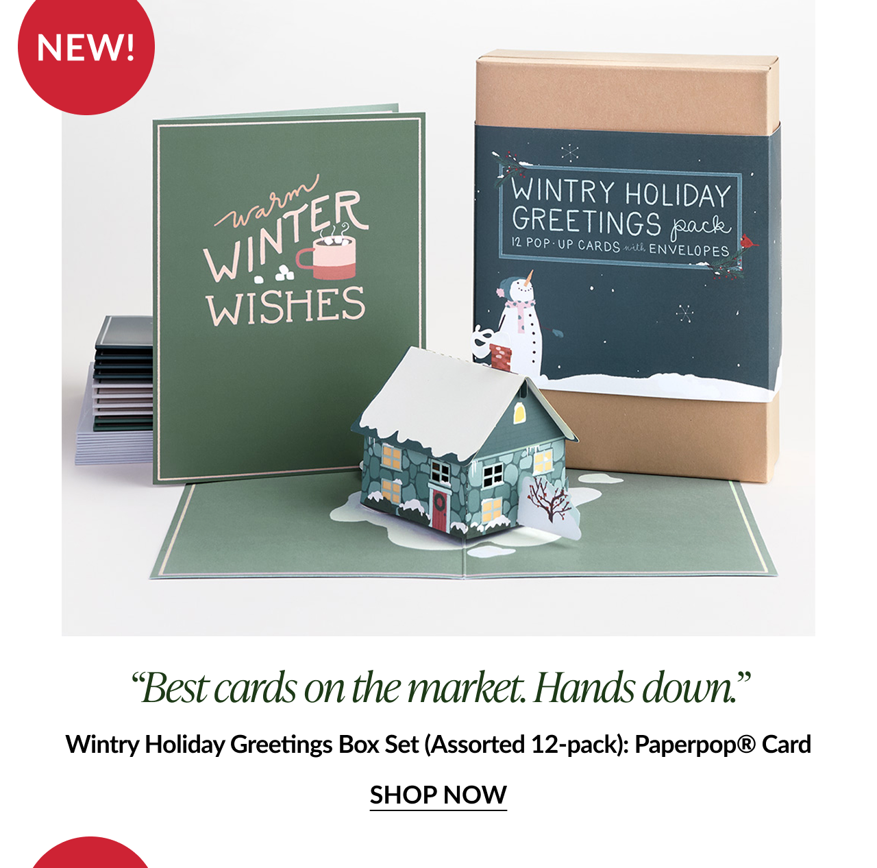 Wintry Holiday Greetings box set with pop up snow covered house and card reading Warm Winter Wishes labeled New
