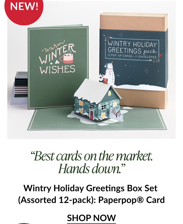 Wintry Holiday Greetings box set with pop up snow covered house and card reading Warm Winter Wishes labeled New
