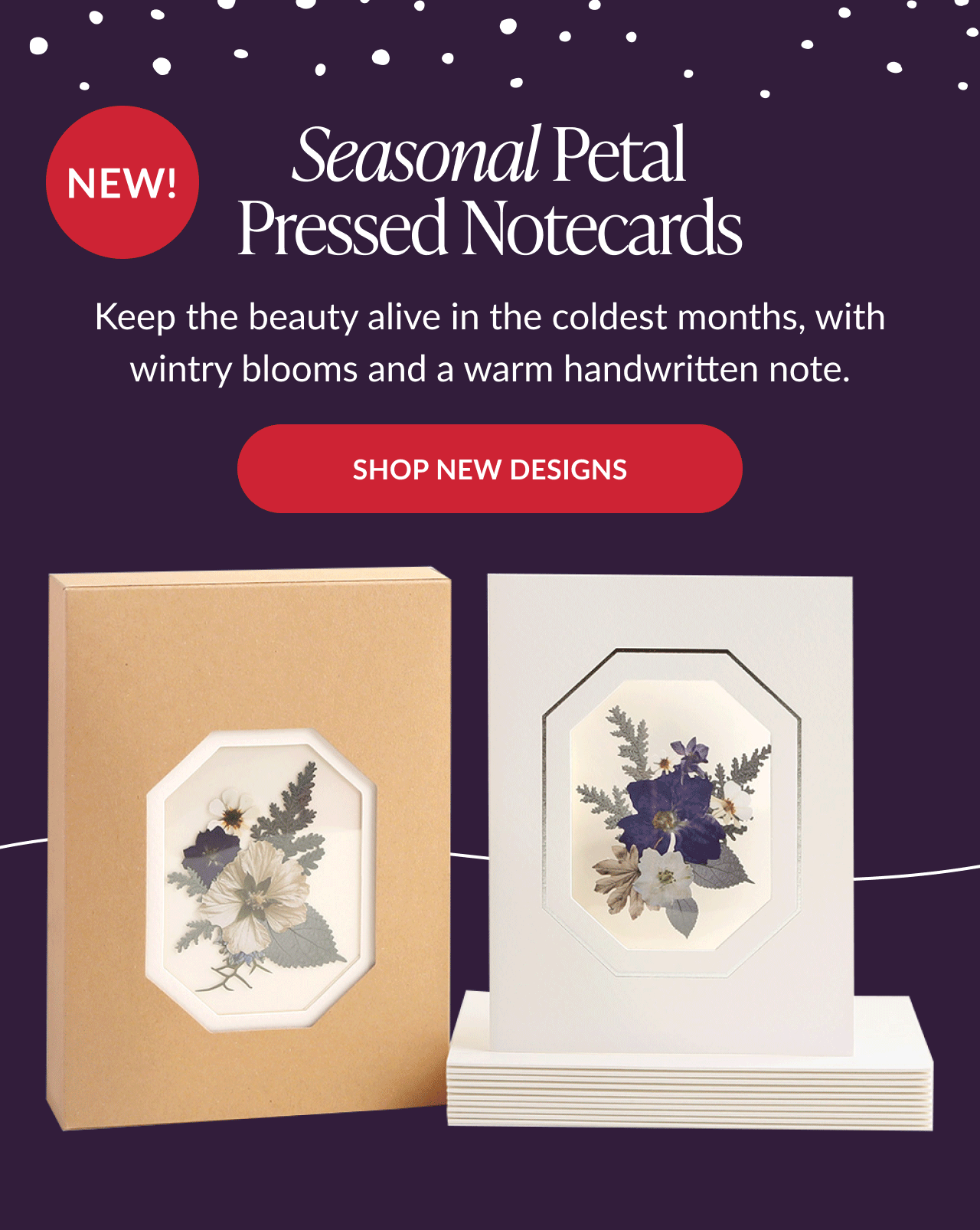 Seasonal Petal Pressed Notecards promotion featuring pressed flower designs in winter tones labeled New