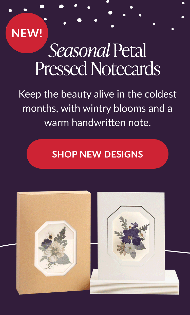 Seasonal Petal Pressed Notecards promotion featuring pressed flower designs in winter tones labeled New
