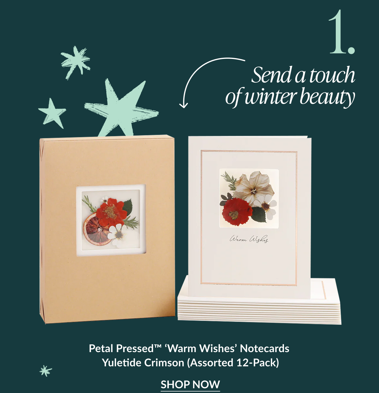 Petal Pressed Warm Wishes Notecards shown in beige box and white card with red and white pressed flowers captioned send a touch of winter beauty with shop now button