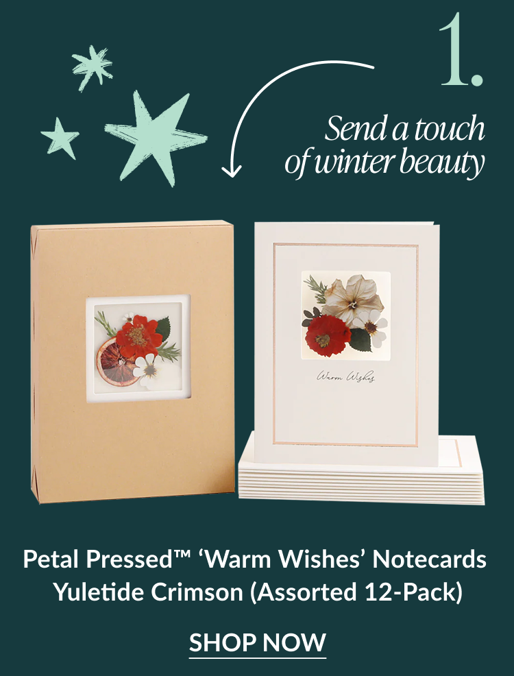 Petal Pressed Warm Wishes Notecards shown in beige box and white card with red and white pressed flowers captioned send a touch of winter beauty with shop now button