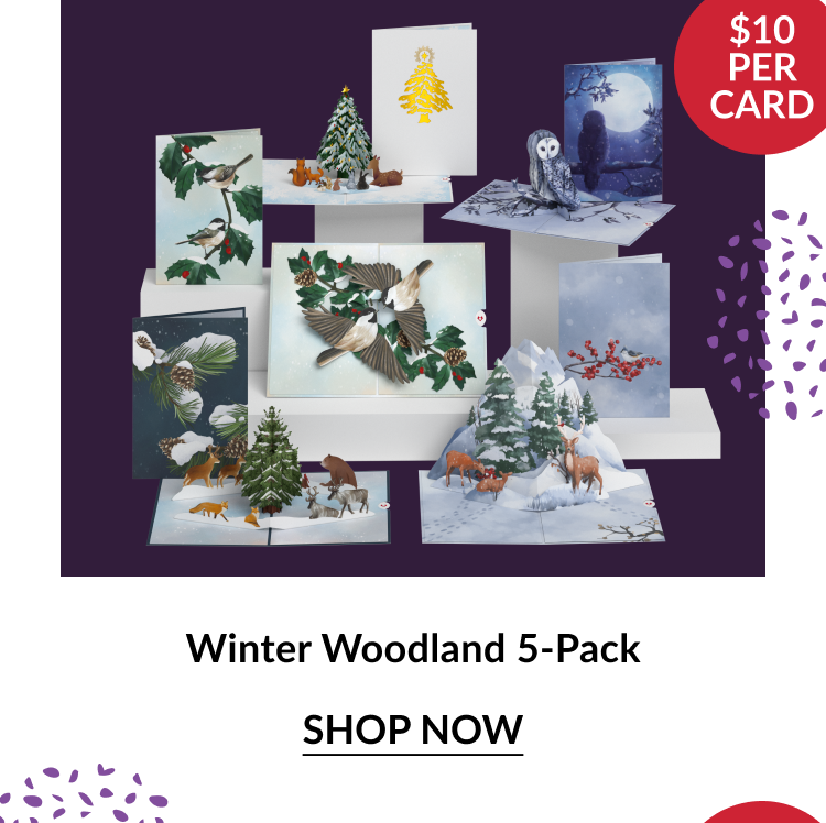 Winter Woodland 5-Pack showing pop-up cards with snowy forest animals, birds, and evergreens with red circle noting $10 per card and shop now button