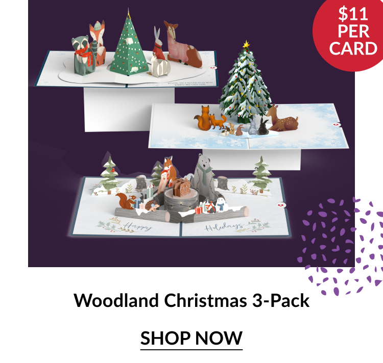 Religious Christmas 3-Pack featuring nativity-themed pop-up cards and cathedral designs in white, gold, and red with red circle noting $11 per card and shop now button