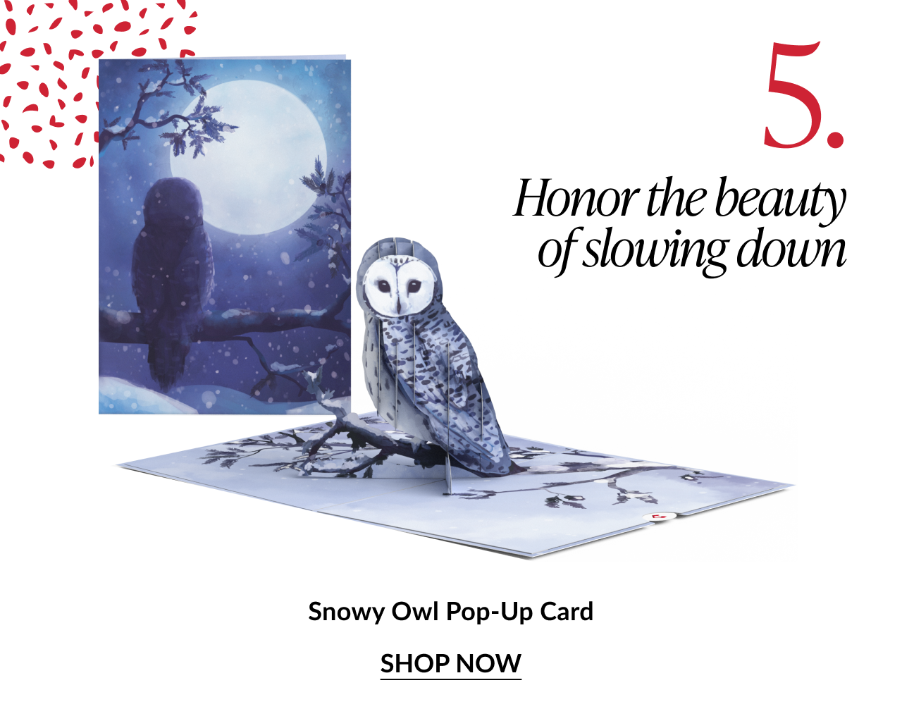 Snowy Owl pop up card with white owl perched on winter branch