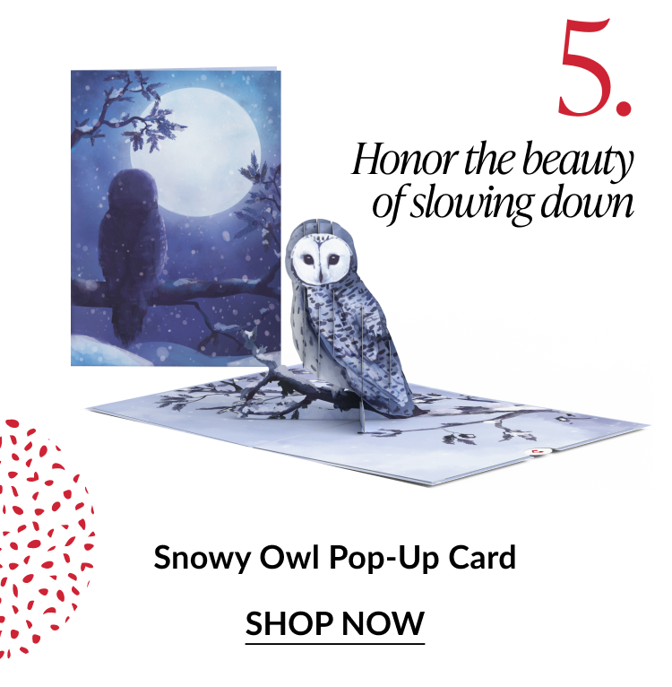 Snowy Owl pop up card with white owl perched on winter branch