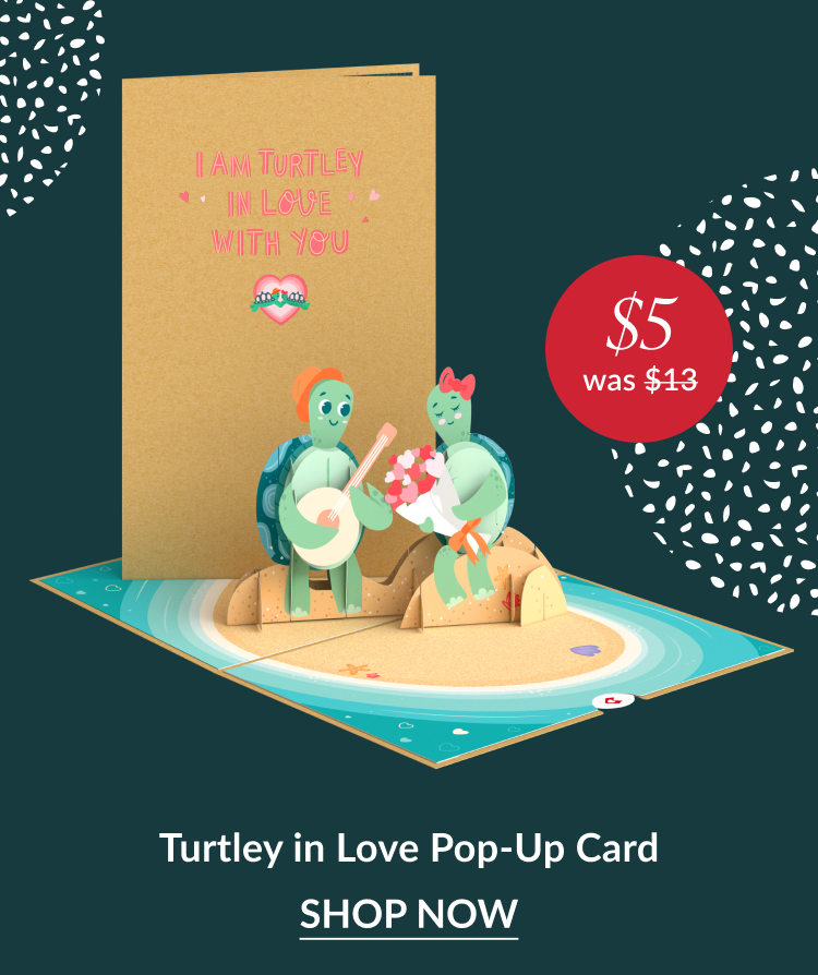 Turtley in Love pop up card with two turtles on the beach holding guitar and flowers and five dollar sale badge