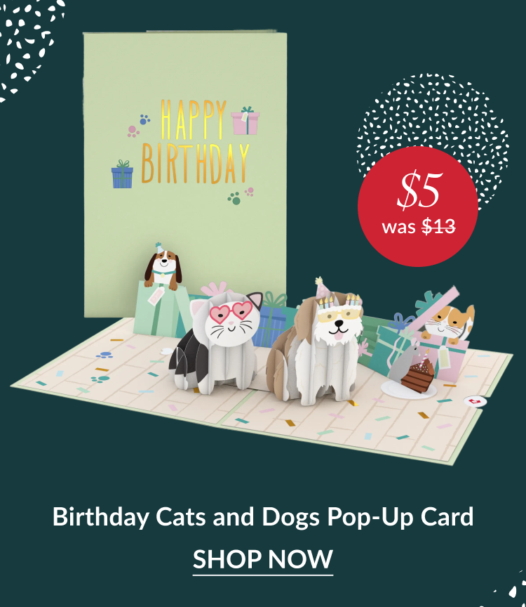 Birthday Cats and Dogs pop up card with pets celebrating birthday and five dollar sale badge