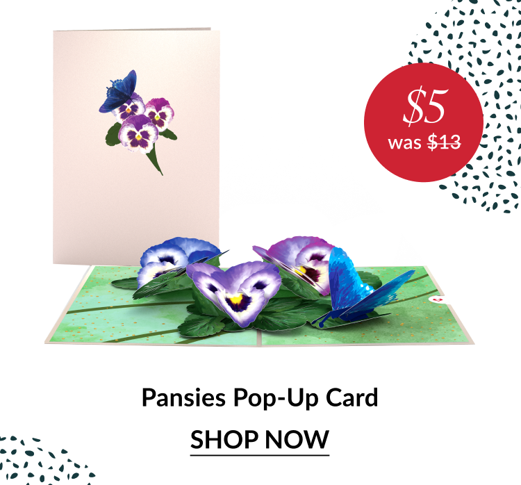 Pansies pop up card with butterfly and five dollar sale badge