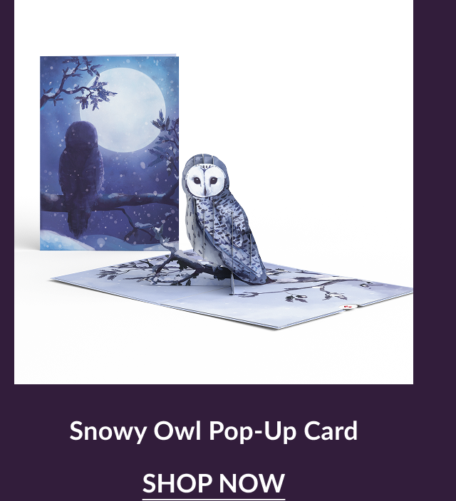 Snowy Owl pop-up card under a moonlit winter sky