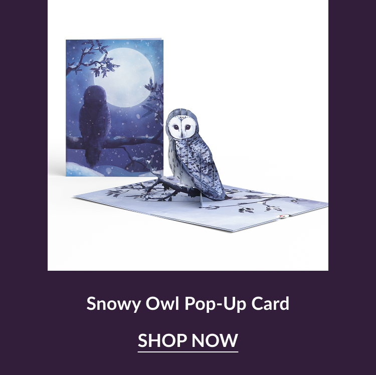 Snowy Owl pop-up card under a moonlit winter sky
