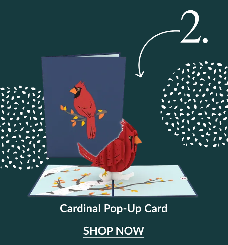 Cardinal pop-up card with red bird perched on winter branches