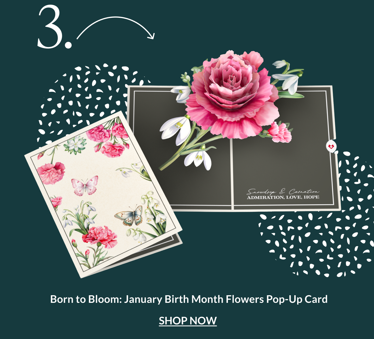 Born to Bloom January birth month flowers pop-up card with pink carnation and snowdrops