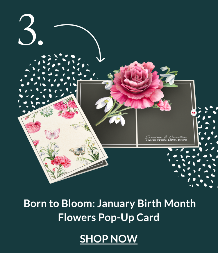 Born to Bloom January birth month flowers pop-up card with pink carnation and snowdrops