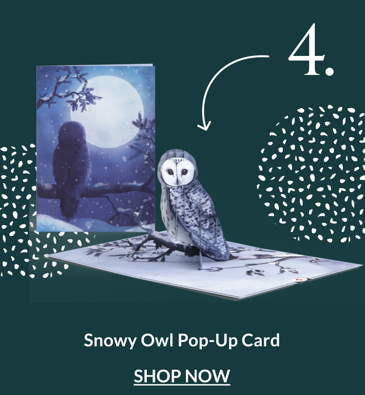 Snowy Owl pop-up card showing an owl under a full moon in a winter landscape
