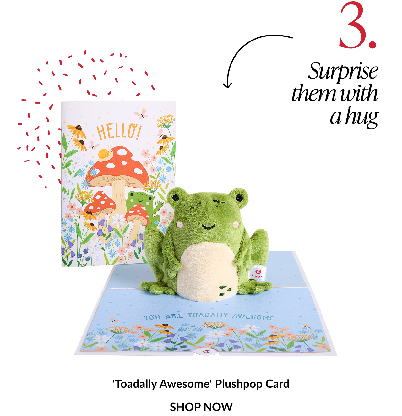 Toadally Awesome plushpop card featuring a removable plush frog inside a floral card