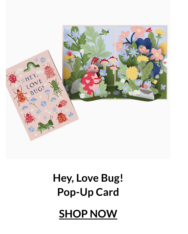 Hey, Love Bug pop-up card with playful garden scene and smiling bug illustration