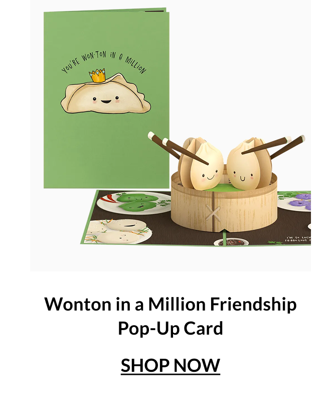 Wonton in a Million friendship pop-up card with smiling dumplings in a bamboo steamer