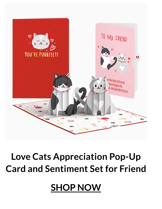 Love Cats appreciation pop-up card with two cats and friendship sentiment inserts