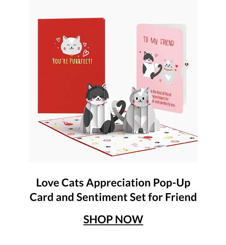 Love Cats appreciation pop-up card with two cats and friendship sentiment inserts