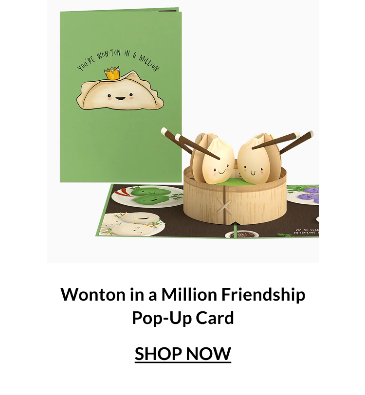 Wonton in a Million friendship pop-up card with smiling dumplings in a bamboo steamer