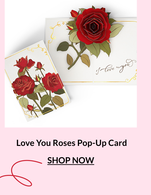 Love You Roses pop-up card with a large red rose and handwritten I love you message inside