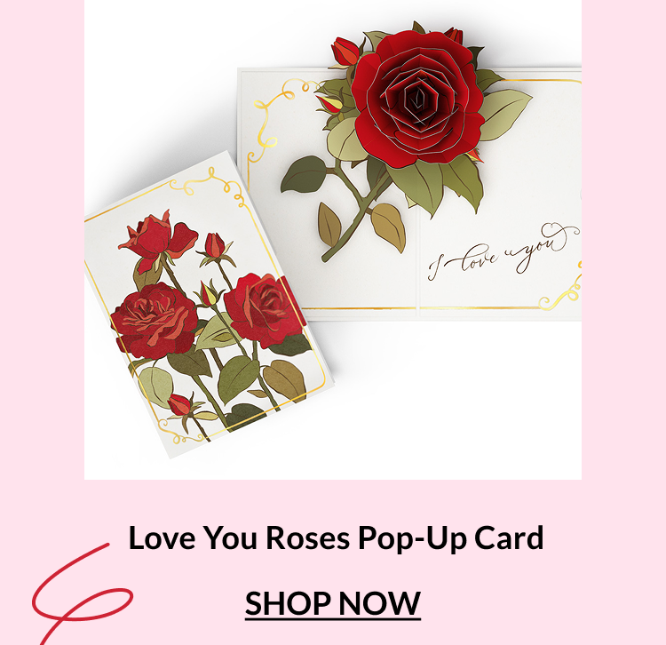 Love You Roses pop-up card with a large red rose and handwritten I love you message inside