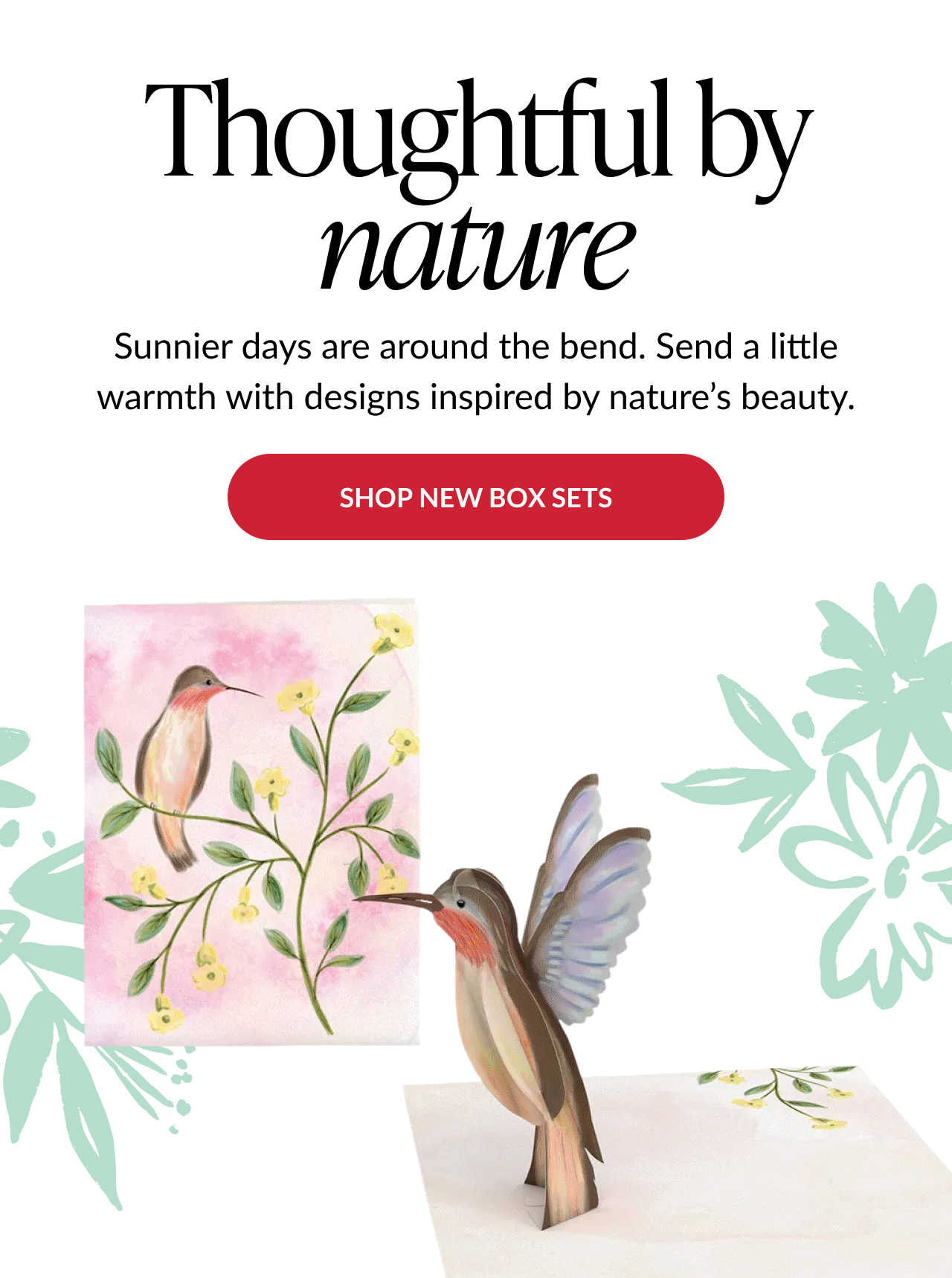 Hero banner featuring curated Nature Box gift sets for seasonal gifting