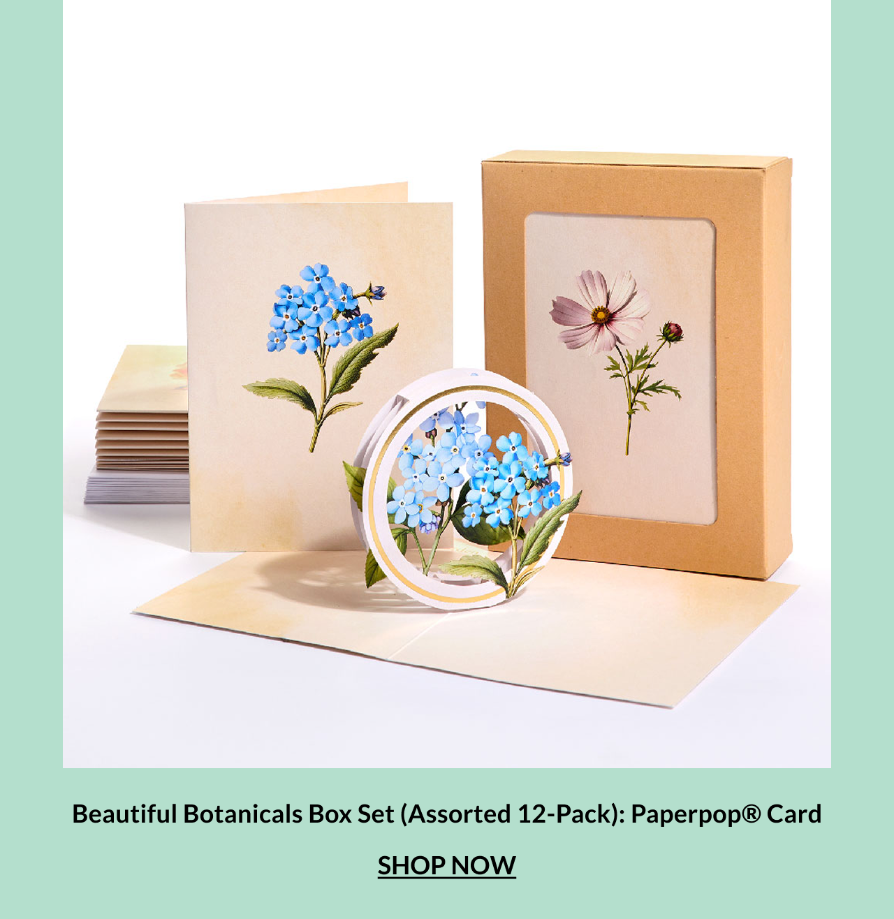 Nature-inspired gift box highlighting premium paper art details