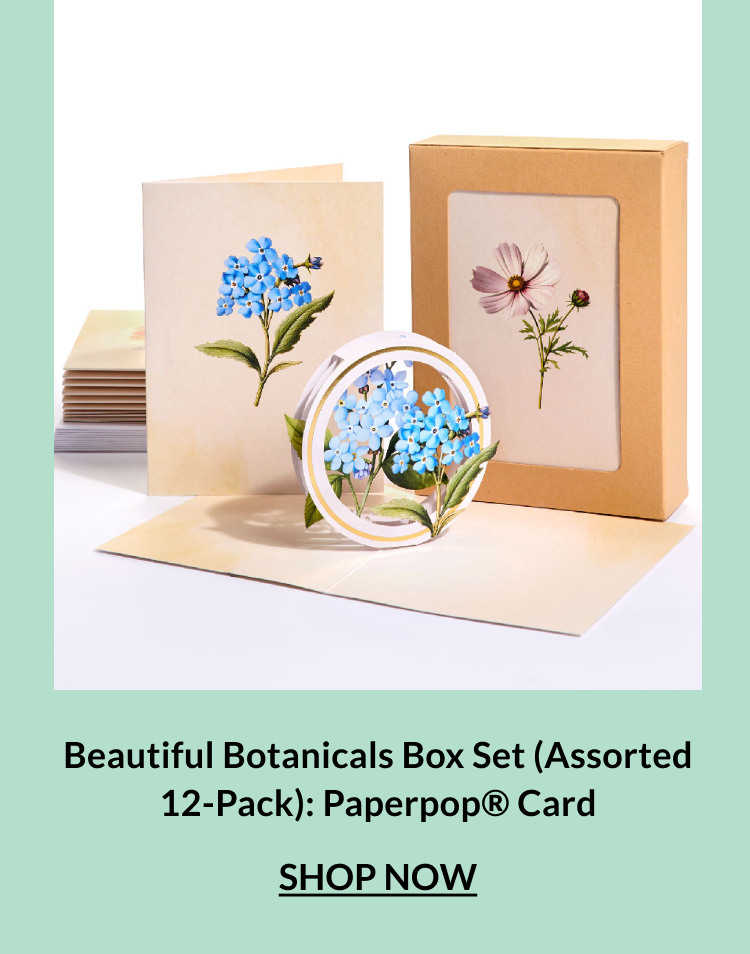 Nature-inspired gift box highlighting premium paper art details