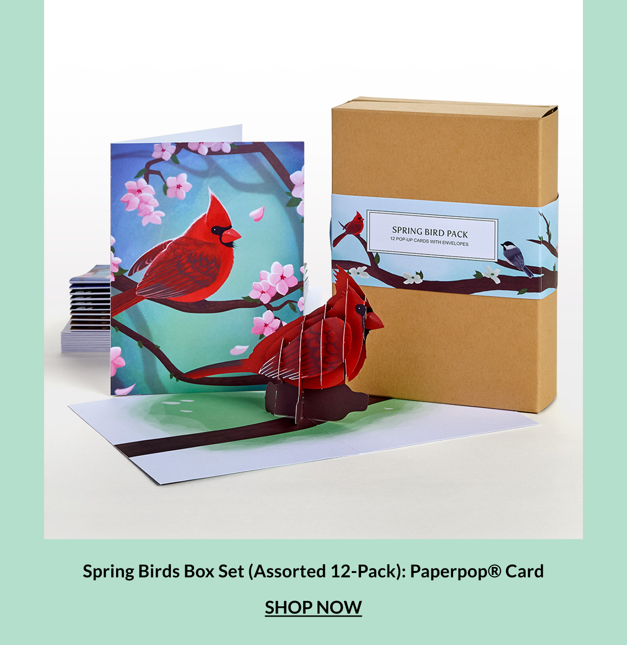 Nature-inspired gift box highlighting premium paper art details