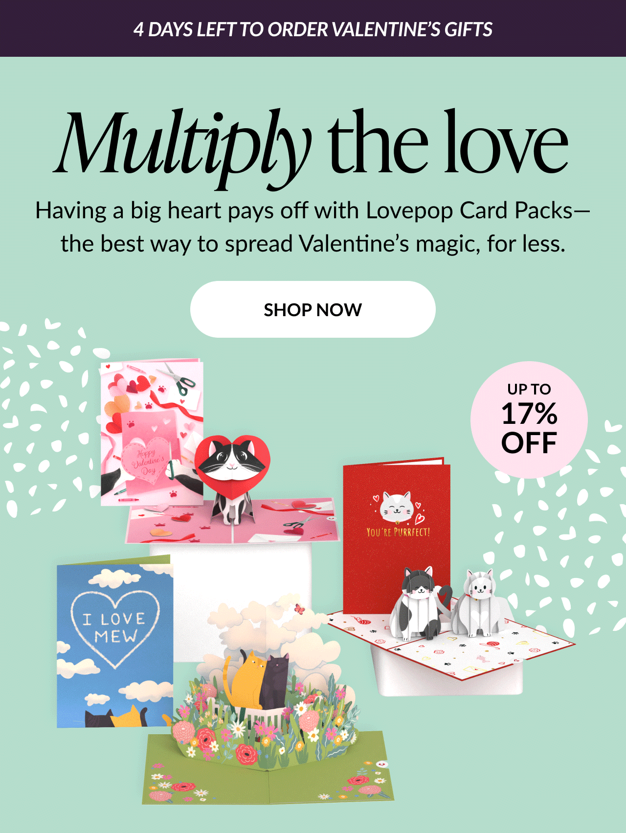 Assorted Valentine’s Day greeting card packs displayed together