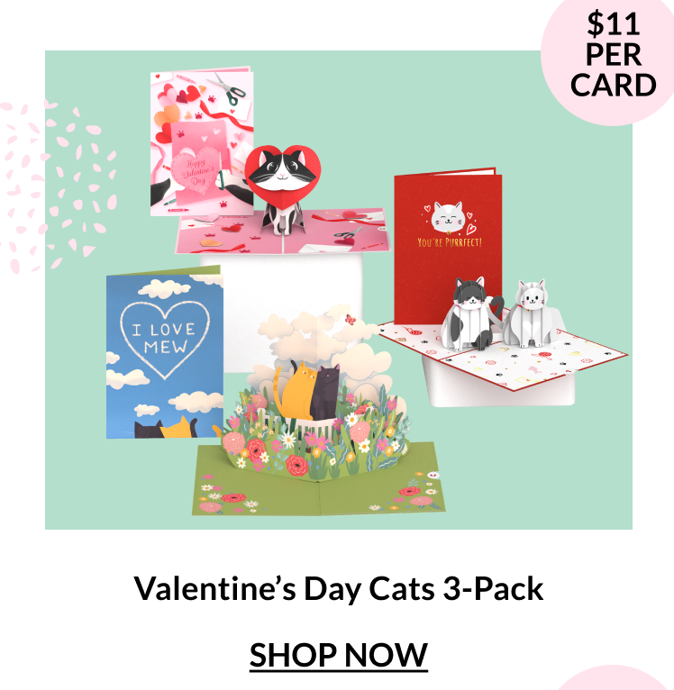 Valentine’s Day Cats themed greeting card pack