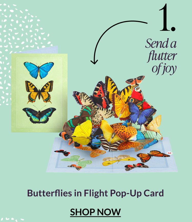 Butterflies in Flight pop-up greeting card design