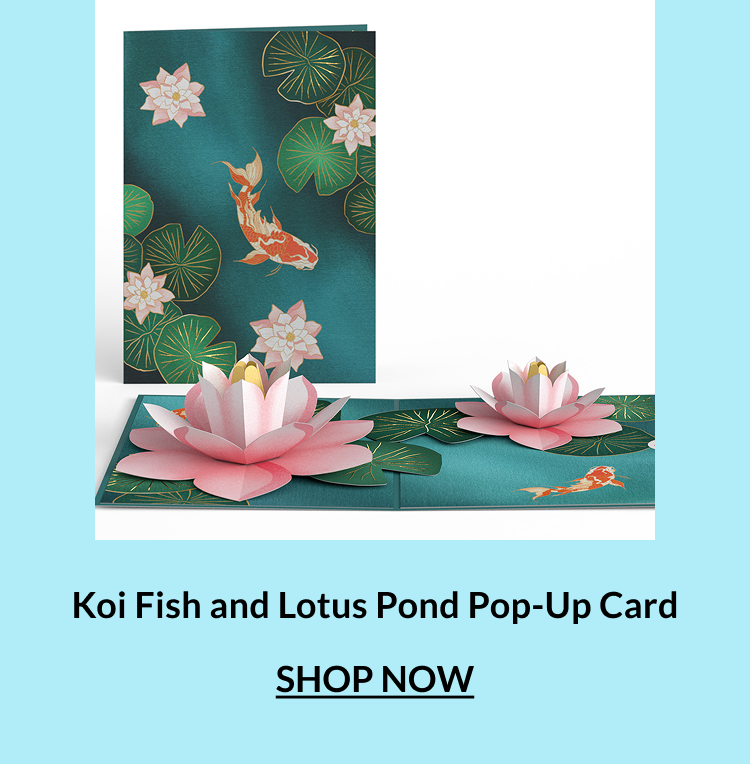 Koi Fish and Lotus Pond pop-up card