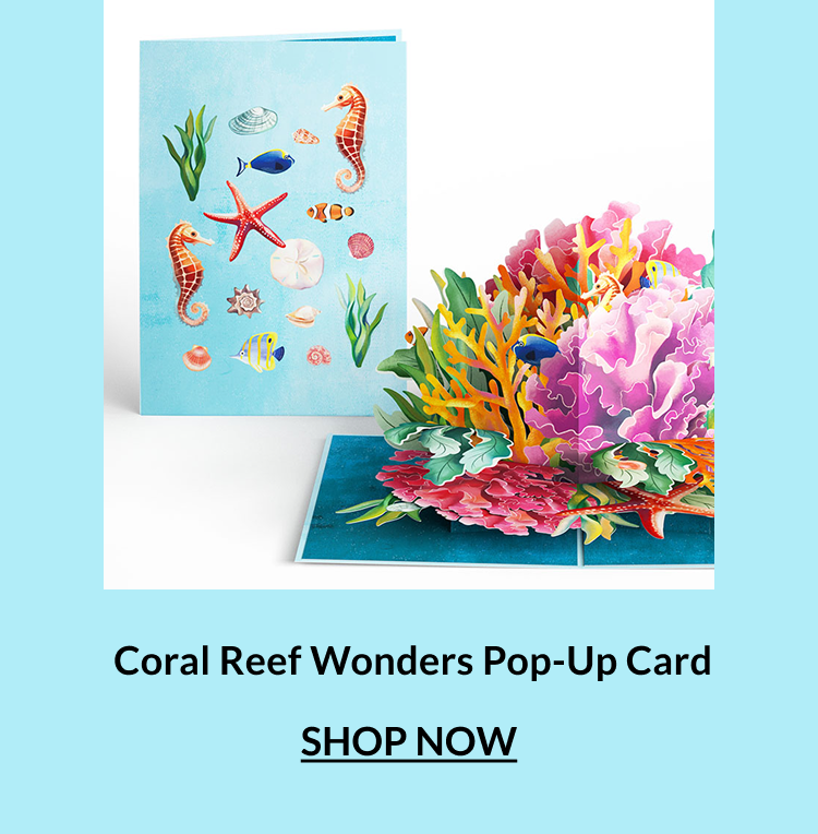 Coral Reef Wonders pop-up card design