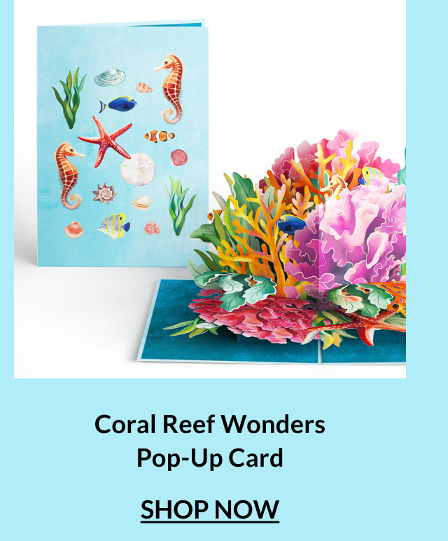 Coral Reef Wonders pop-up card design