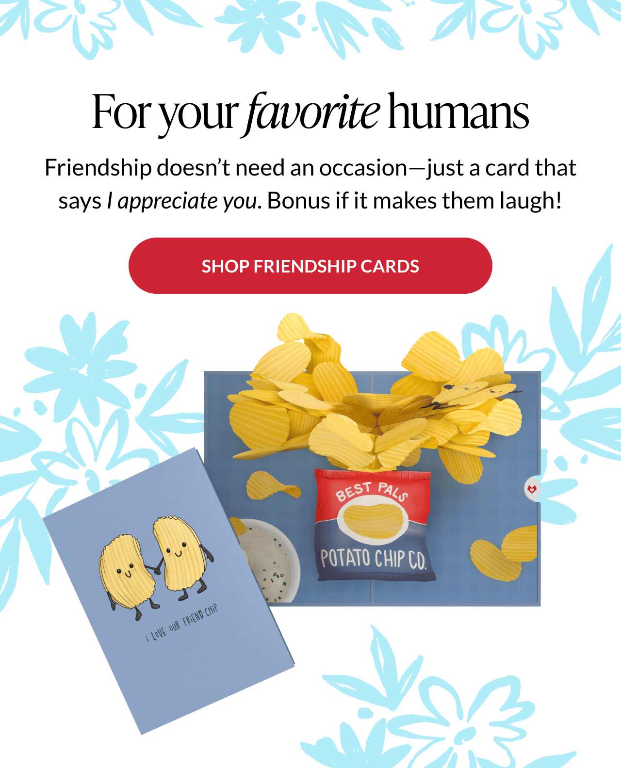 Assorted fun friendship pop-up cards displayed together