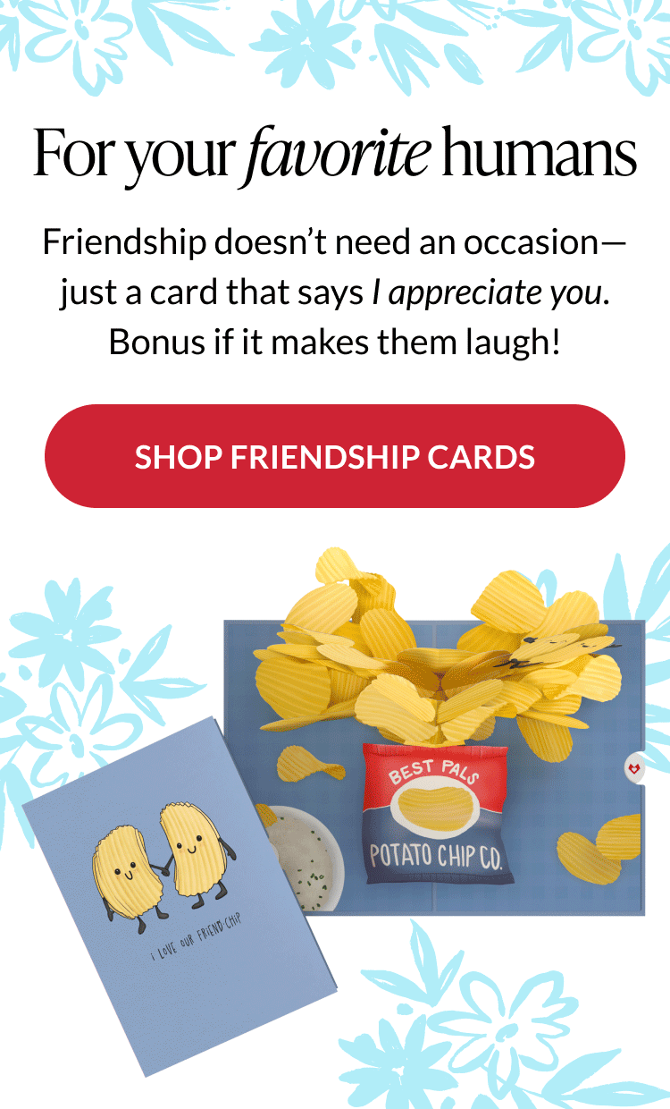 Assorted fun friendship pop-up cards displayed together
