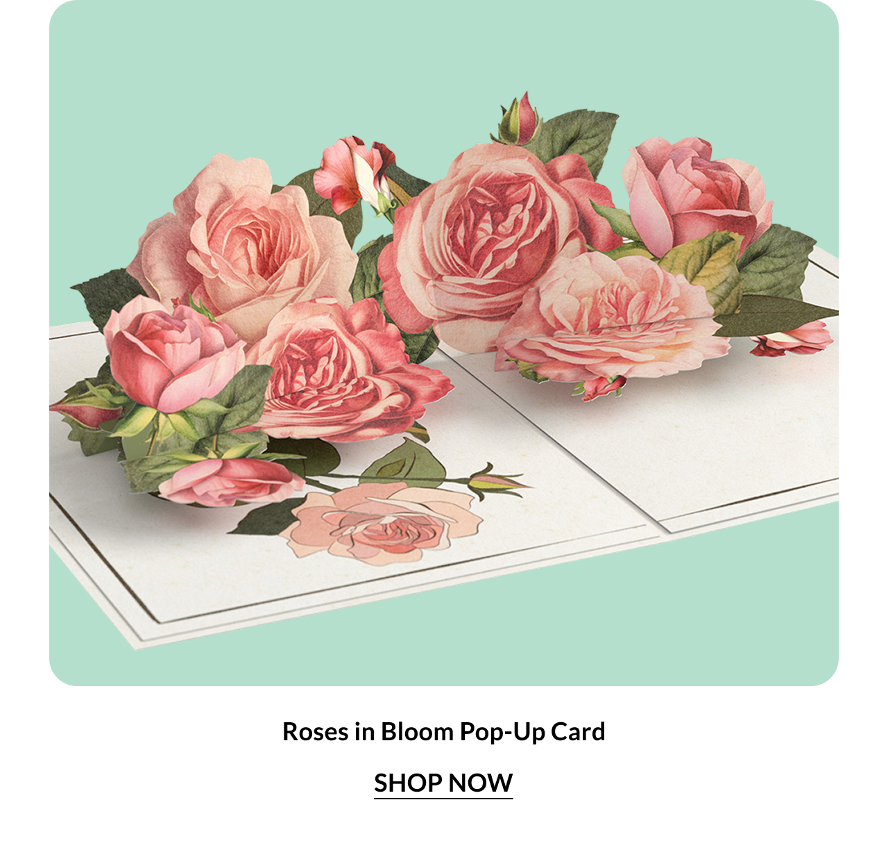 Roses in Bloom Pop-Up Card. Shop now.