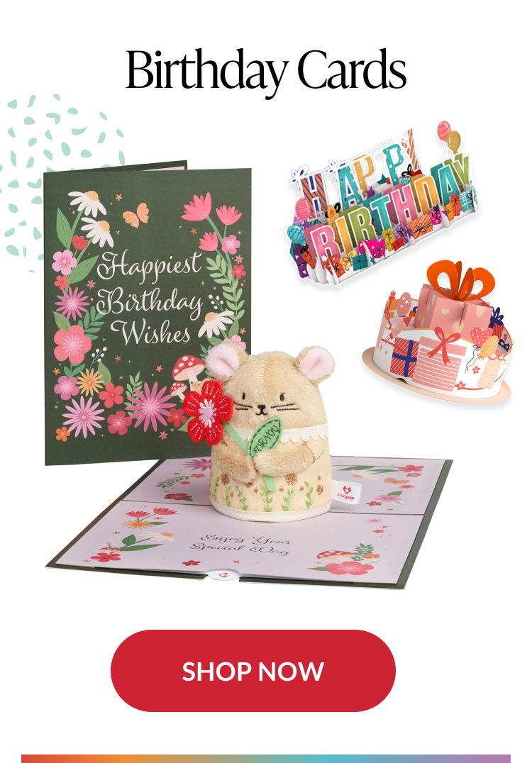 Shop birthday cards on sale