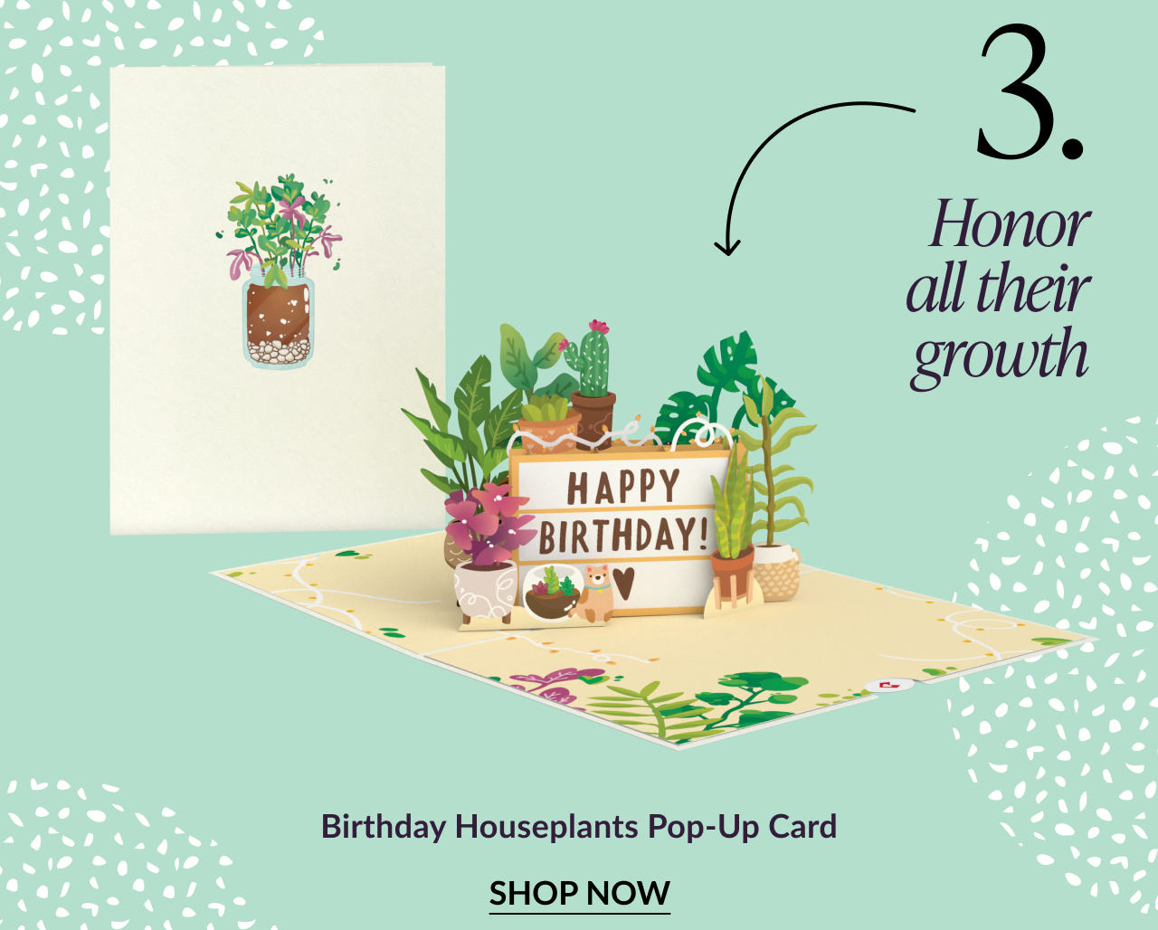 Birthday Houseplants Pop-Up Card