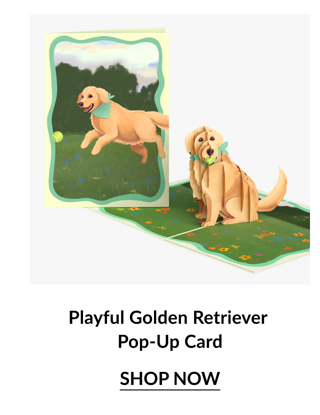 Playful Golden Retriever Pop-Up Card