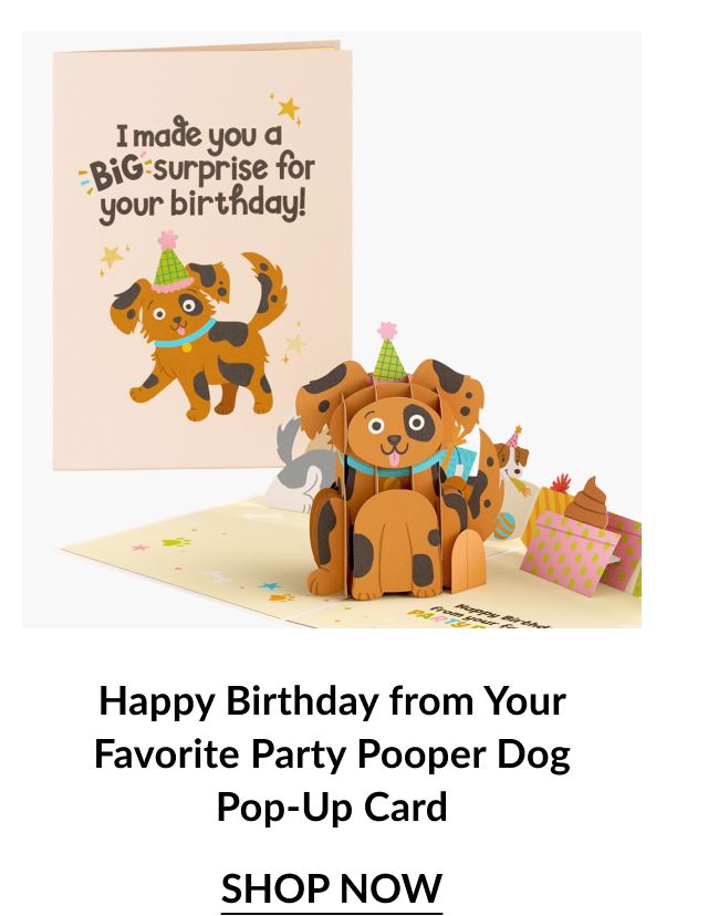 Happy Birthday from Your Favorite Party Pooper Dog Pop-Up Card