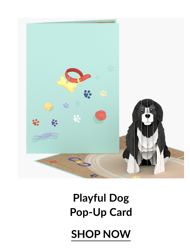 Playful Dog Pop-Up Card
