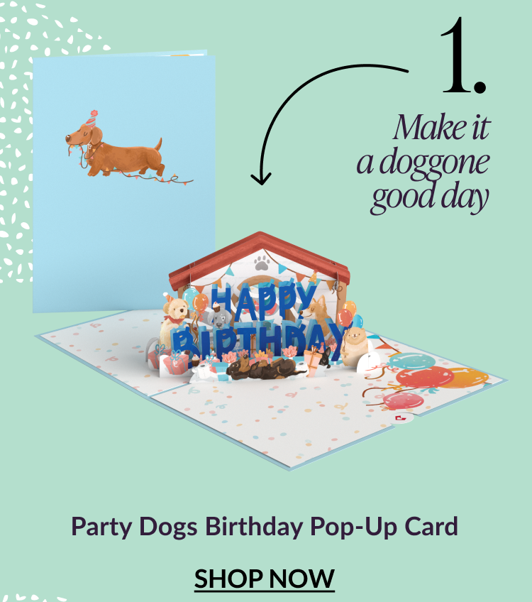 Party Dogs Birthday Pop-Up Card
