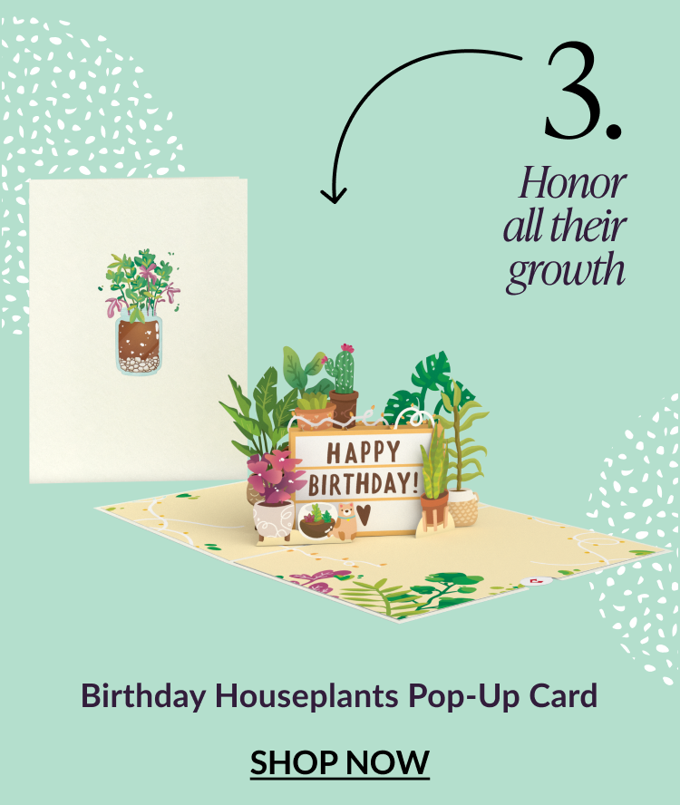 Birthday Houseplants Pop-Up Card