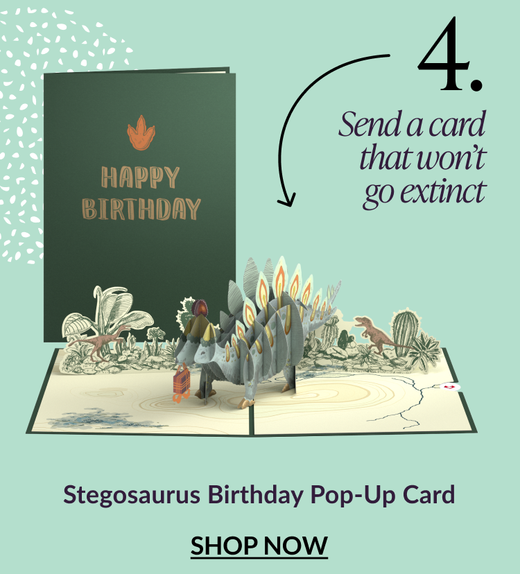 Stegosaurus Birthday Pop-Up Card