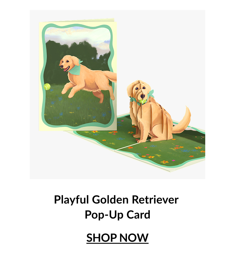 Playful Golden Retriever Pop-Up Card